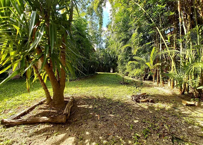 Mini Pini Birdwatching And Cenote Loft4 You Only